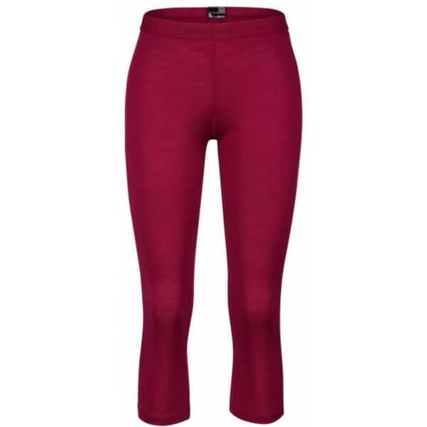 Icebreaker Wmns 200 Oasis Legless Damen Funktionsunterhose 1